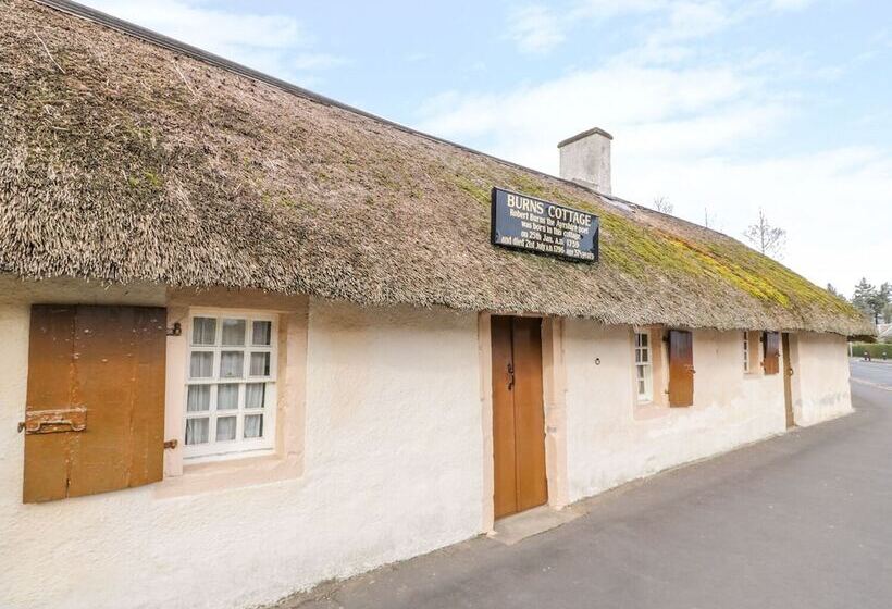 Bright And Beautiful