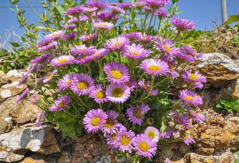 Cliff Farm No. 2 Cottage