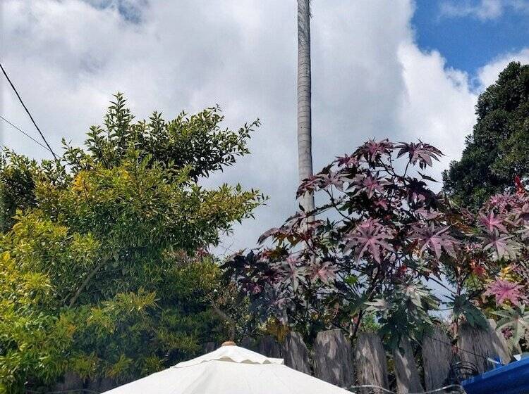 ホテル Casa Colombia Salento