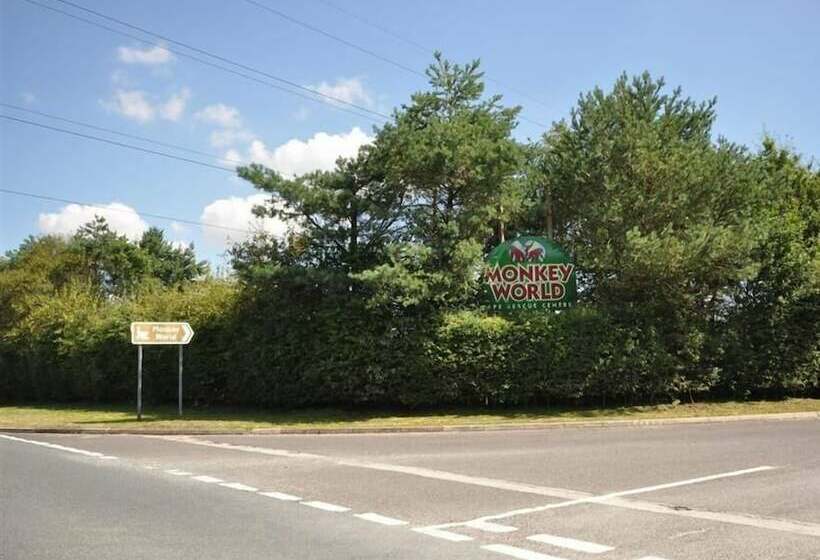 Jasmine Cottage, Osmington