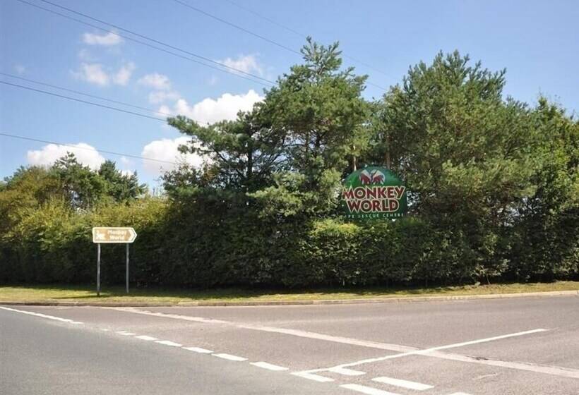 Jasmine Cottage, Osmington