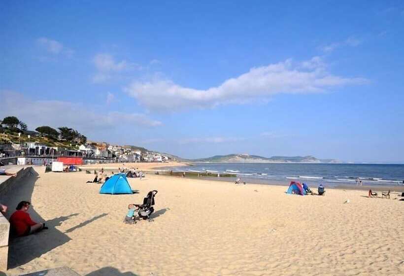 Leys At Valley View Farm