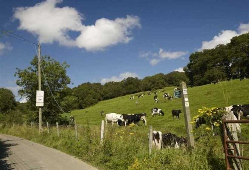 Leys At Valley View Farm