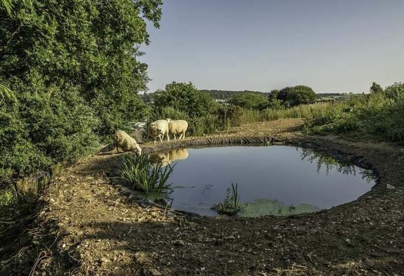 Leys At Valley View Farm