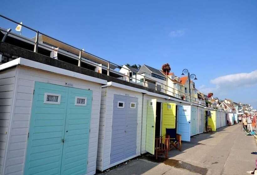 Leys At Valley View Farm