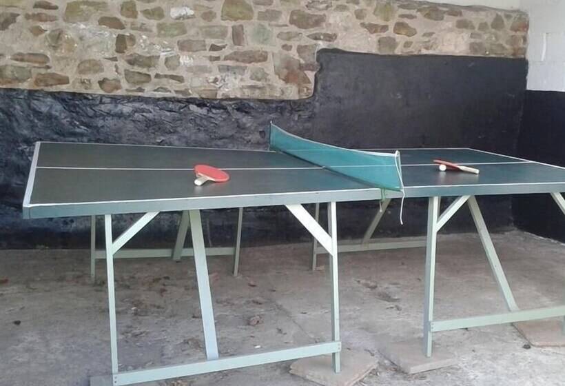 Leys At Valley View Farm