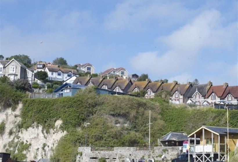 Leys At Valley View Farm