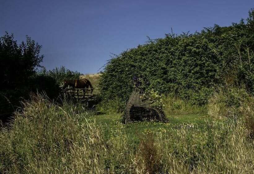 Leys At Valley View Farm