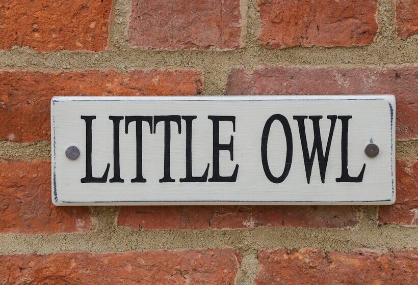 Little Owl