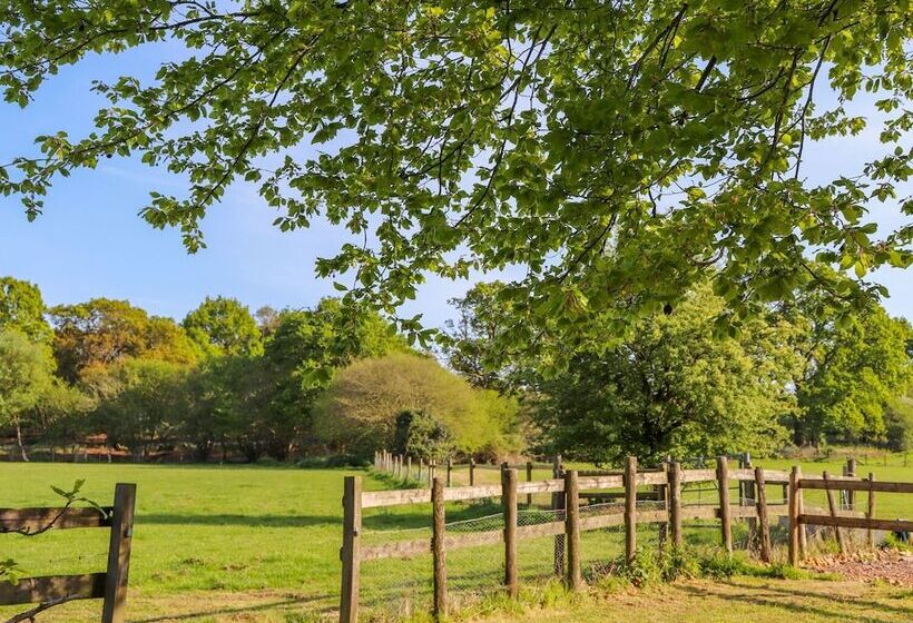 Pheasant Lodge At Chapel Lodges