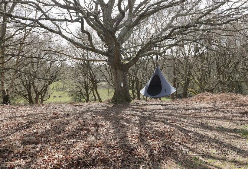 Pheasant Lodge At Chapel Lodges