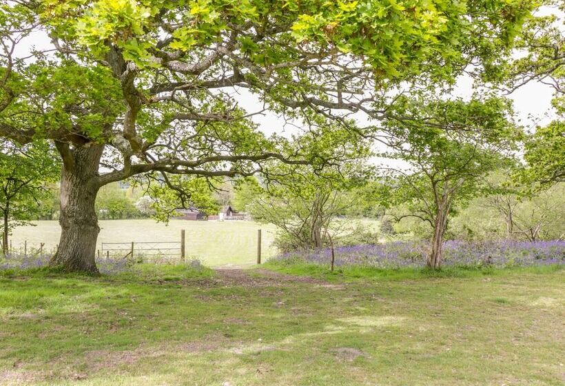 Pheasant Lodge At Chapel Lodges