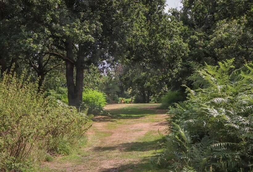 Pheasant Lodge At Chapel Lodges