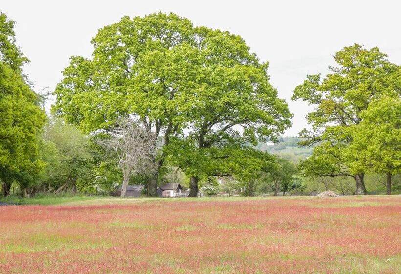 Pheasant Lodge At Chapel Lodges