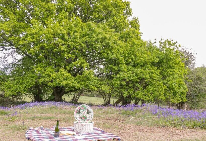 Pheasant Lodge At Chapel Lodges