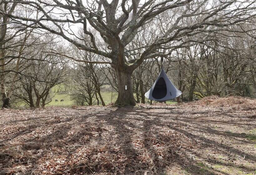 Pheasant Lodge At Chapel Lodges