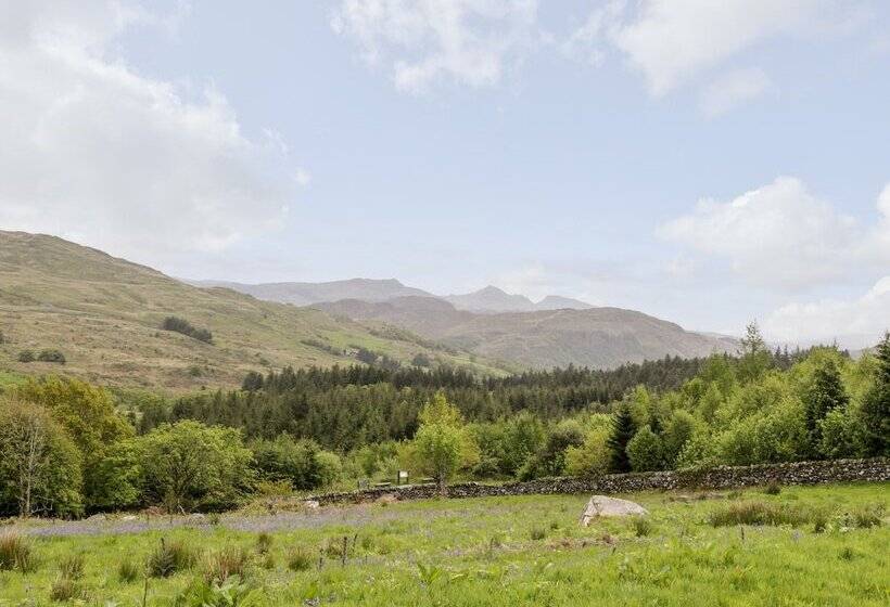 Snowdon Vista Cabin