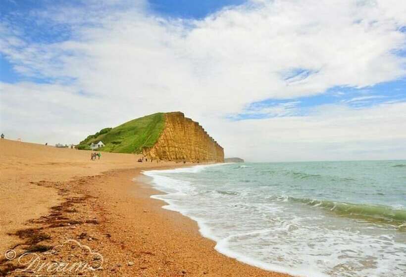 The Old Reading Room