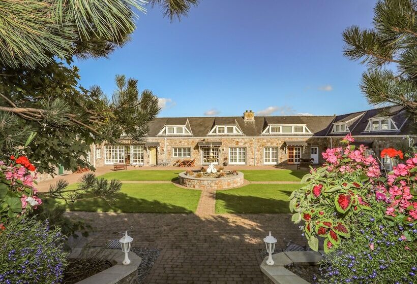 Tyn Towyn   Ty Gwyrdd