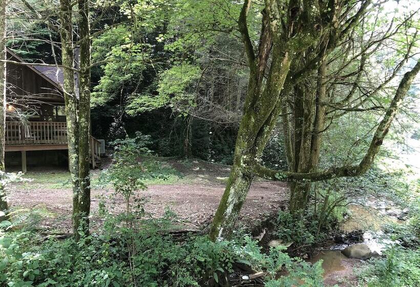 A Cabin In The Woods