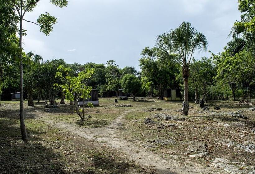 فندق صغير Backpackers Paradise