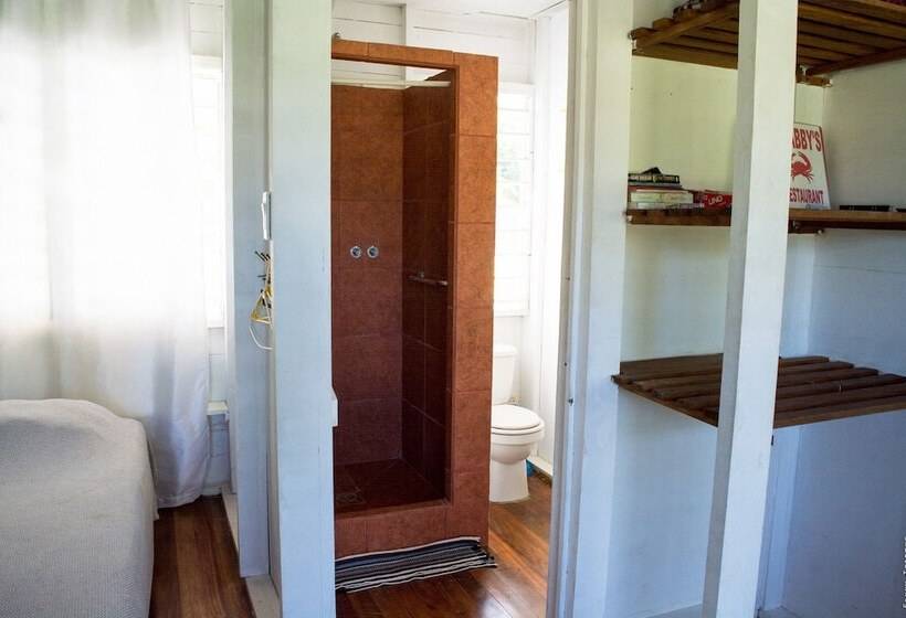 فندق صغير Backpackers Paradise