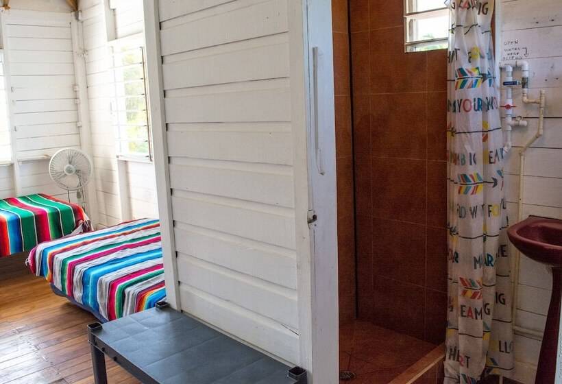 فندق صغير Backpackers Paradise