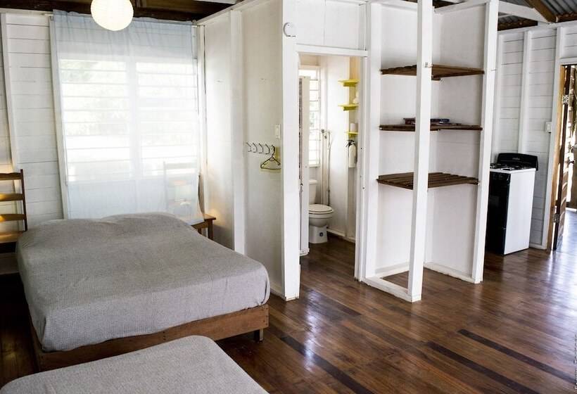 فندق صغير Backpackers Paradise