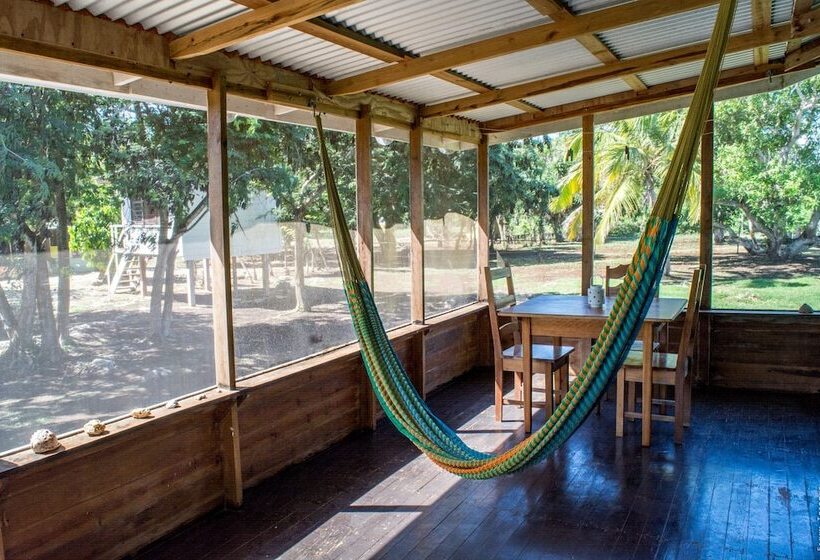 فندق صغير Backpackers Paradise