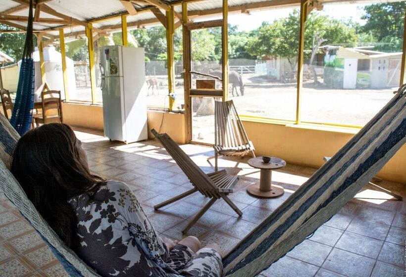 فندق صغير Backpackers Paradise