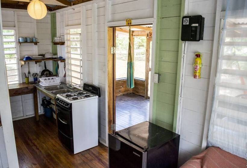 فندق صغير Backpackers Paradise