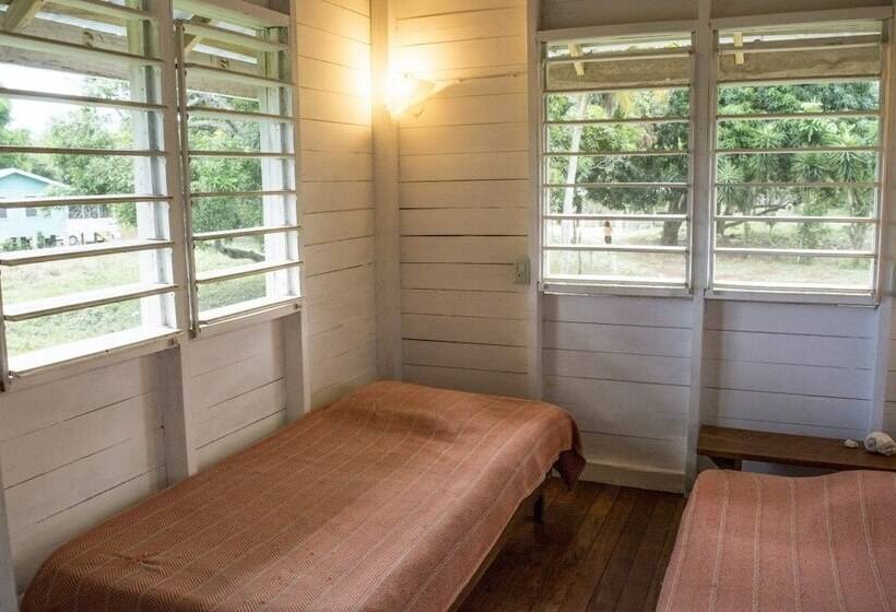 فندق صغير Backpackers Paradise