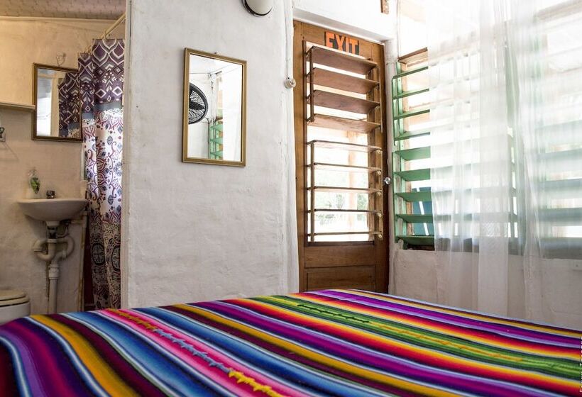 فندق صغير Backpackers Paradise