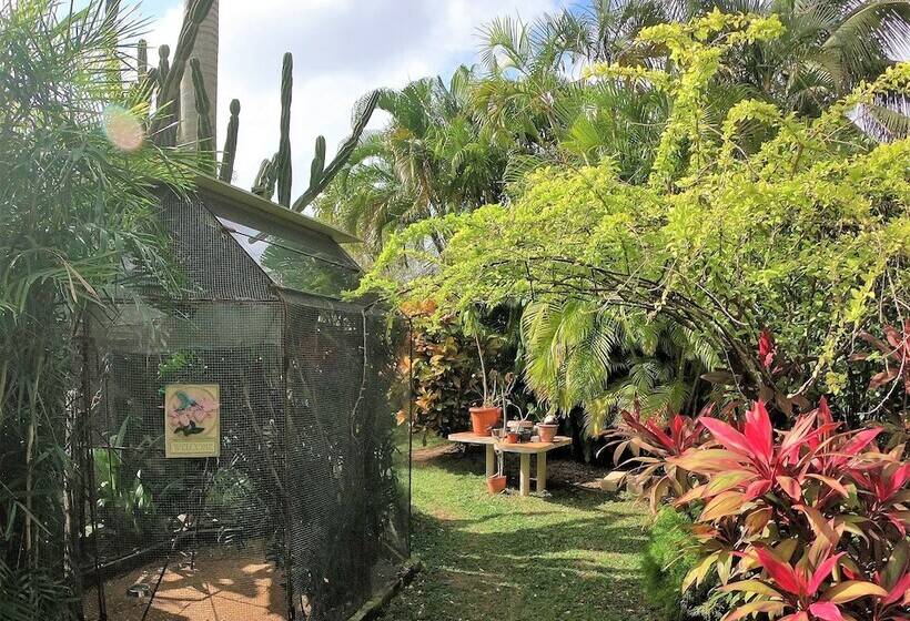 צימר Baldwin S Guest House Cozumel