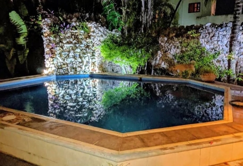 צימר Baldwin S Guest House Cozumel