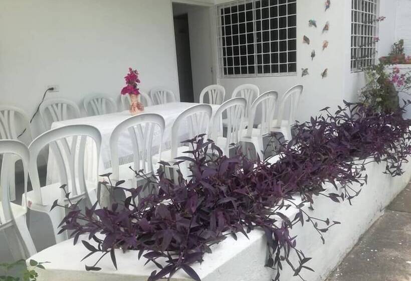 Bed and Breakfast Casa Zaida Hostal Vintage