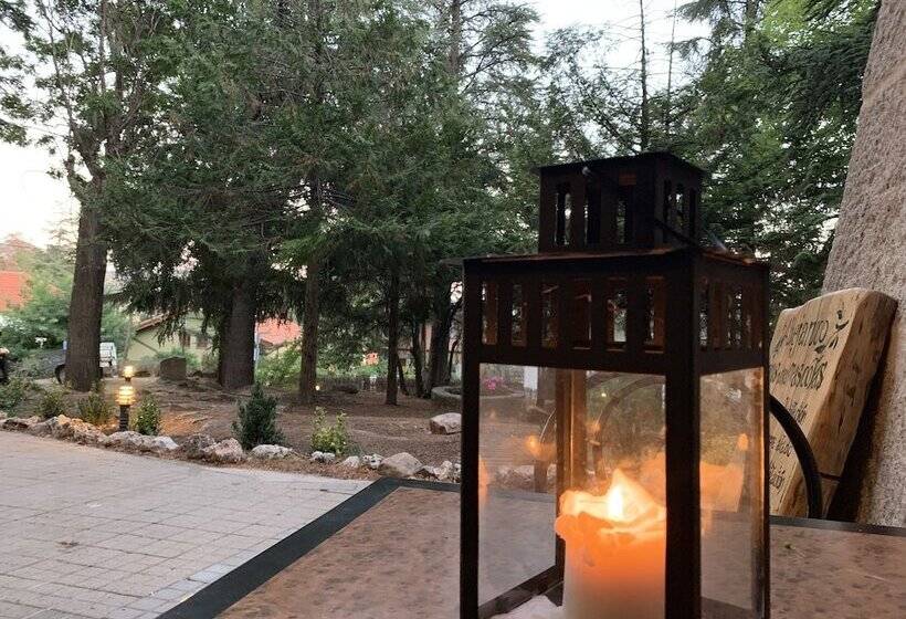 مبيت وإفطار El Abejaruco