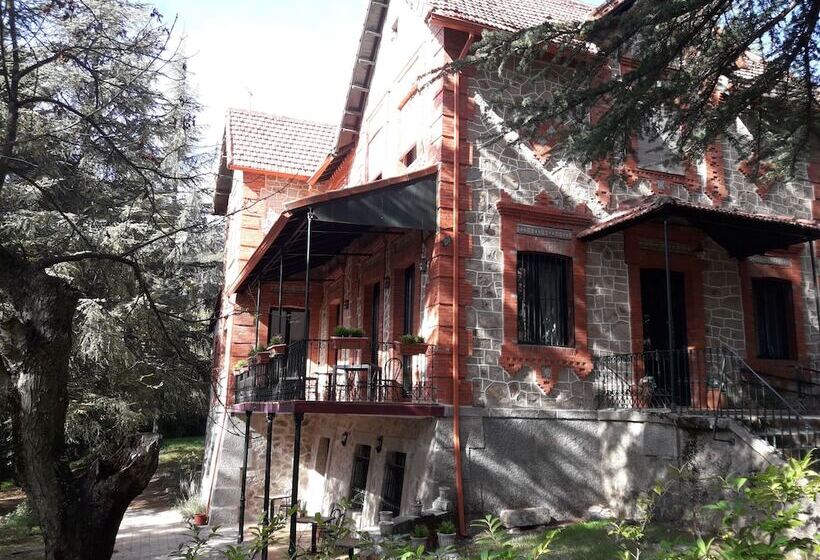 مبيت وإفطار El Abejaruco