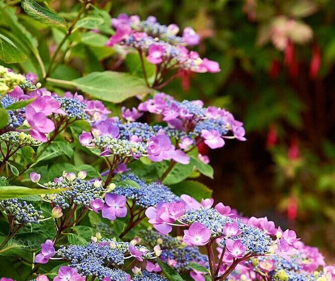 مبيت وإفطار Greenmount House