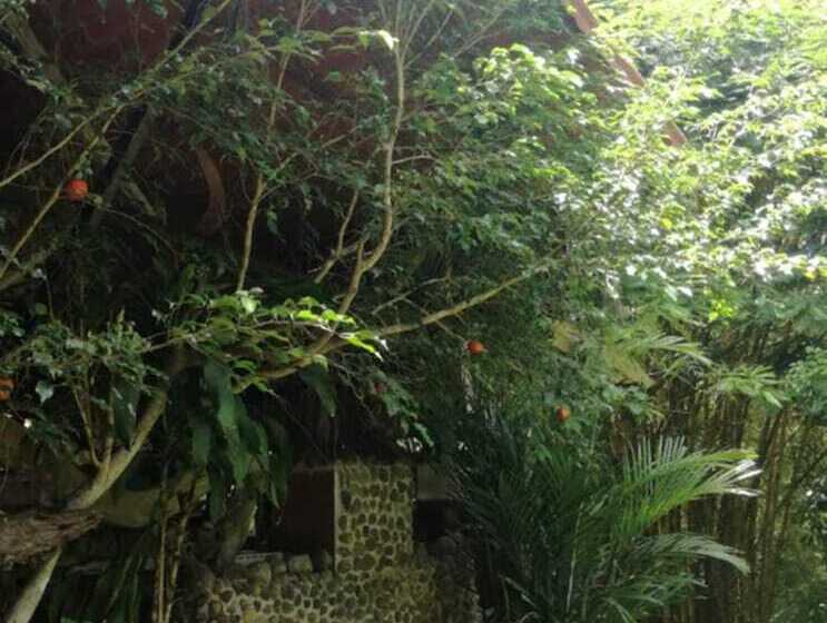 مبيت وإفطار Loma Tranquila