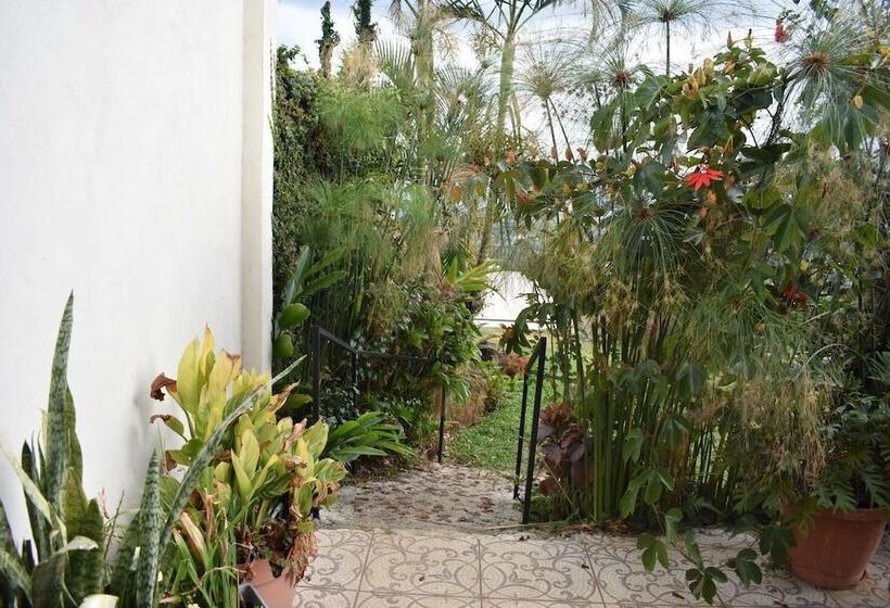 مبيت وإفطار Loma Tranquila