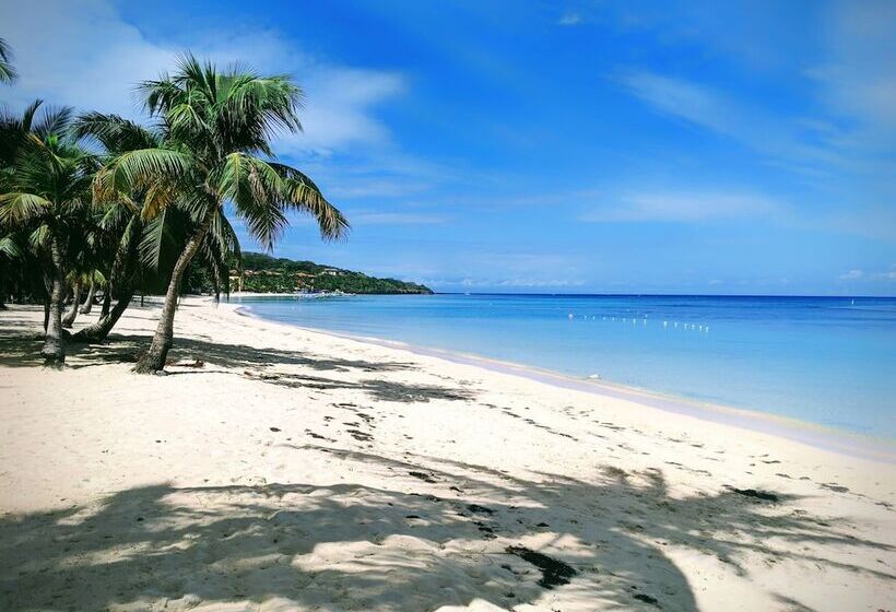 تختخواب و صبحانه Seaside Inn
