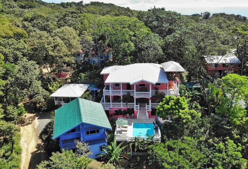 تختخواب و صبحانه Seaside Inn