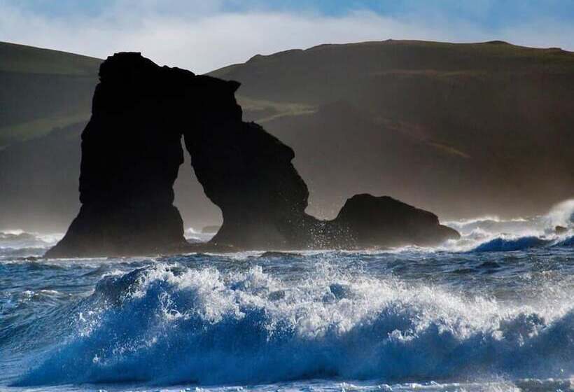 Cove View