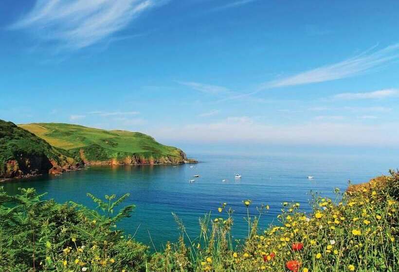 Cove View
