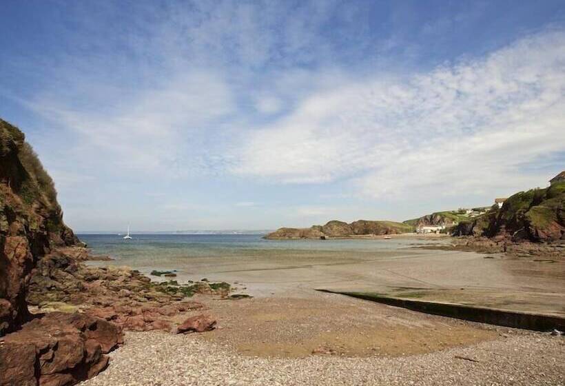 Cove View