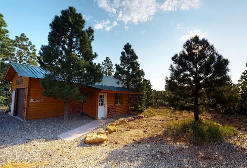 Cozy Mountain Africabin