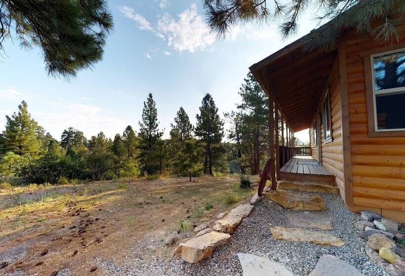 Cozy Mountain Africabin