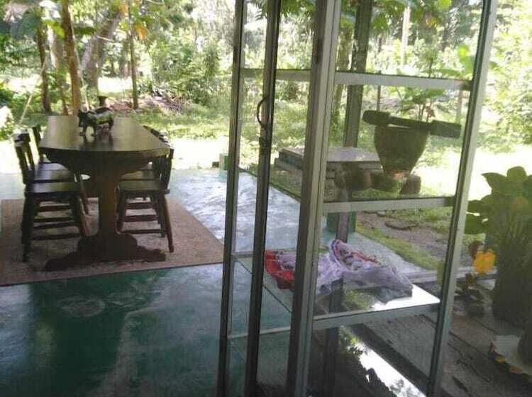 Finca Guarumo   Hostel