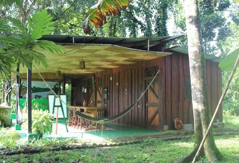 Finca Guarumo Hostel